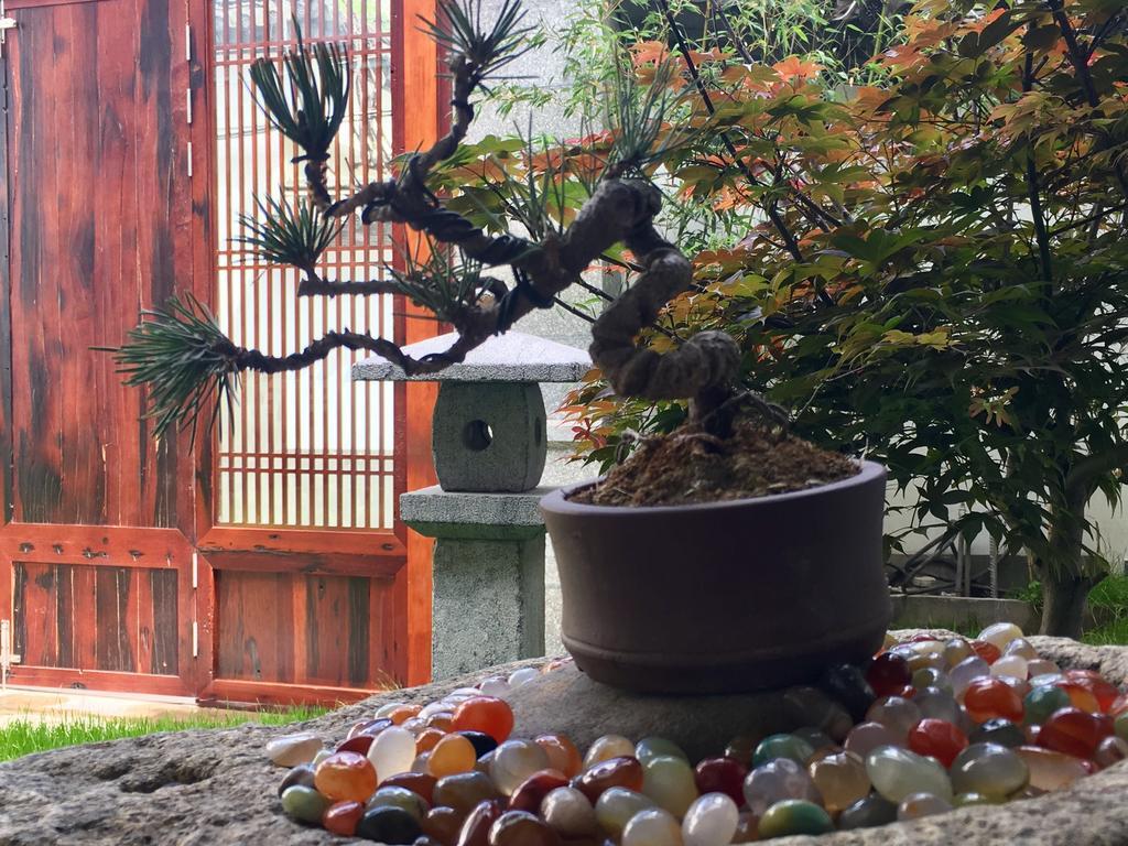 Bo Nan Homestay Dali  Bagian luar foto